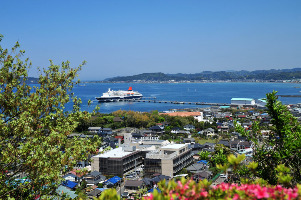 館山の街と海を一望できる展望スポット。海と農地が混ざる“館山らしい景観”が見える。