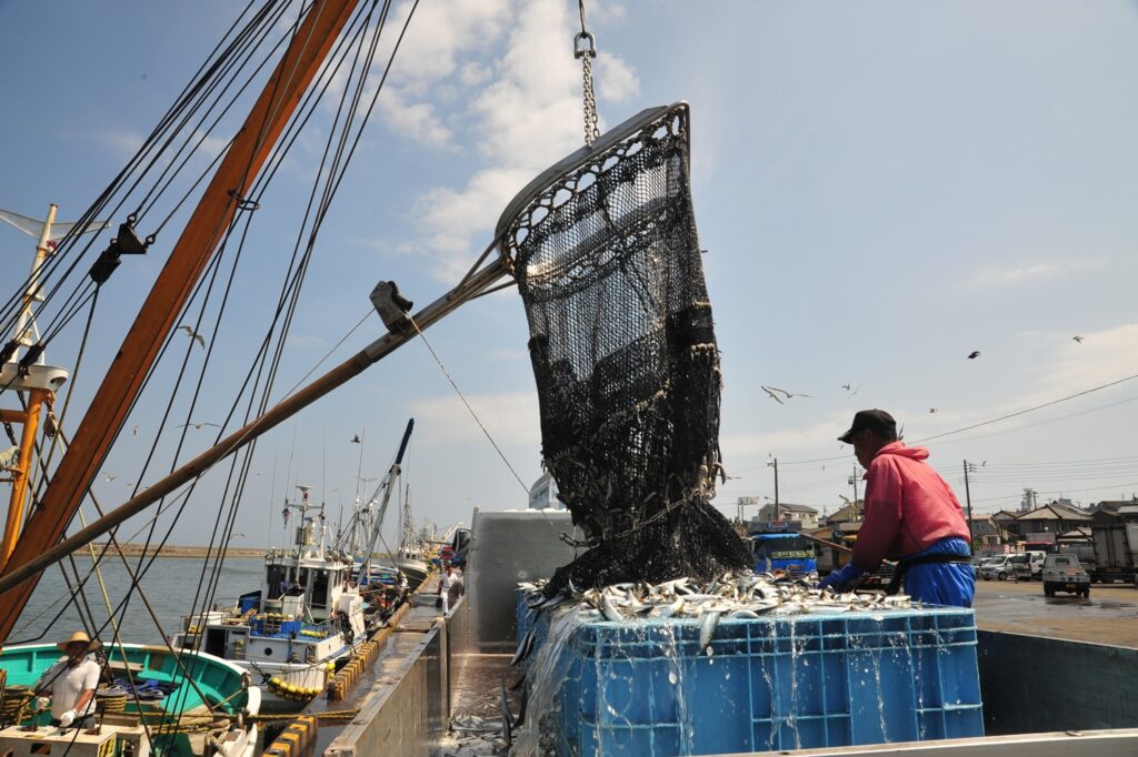 銚子漁港の写真。水揚げ量日本トップクラスの漁港