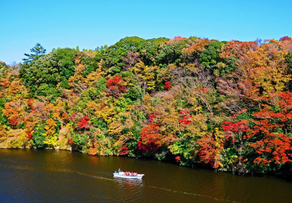 亀山湖の紅葉の写真。森に囲まれた静かな湖