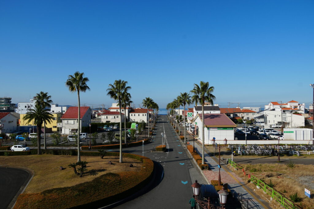 館山駅を背後にした館山駅西口の風景。海までまっすぐ伸びる一本道。その先に水平線が見える