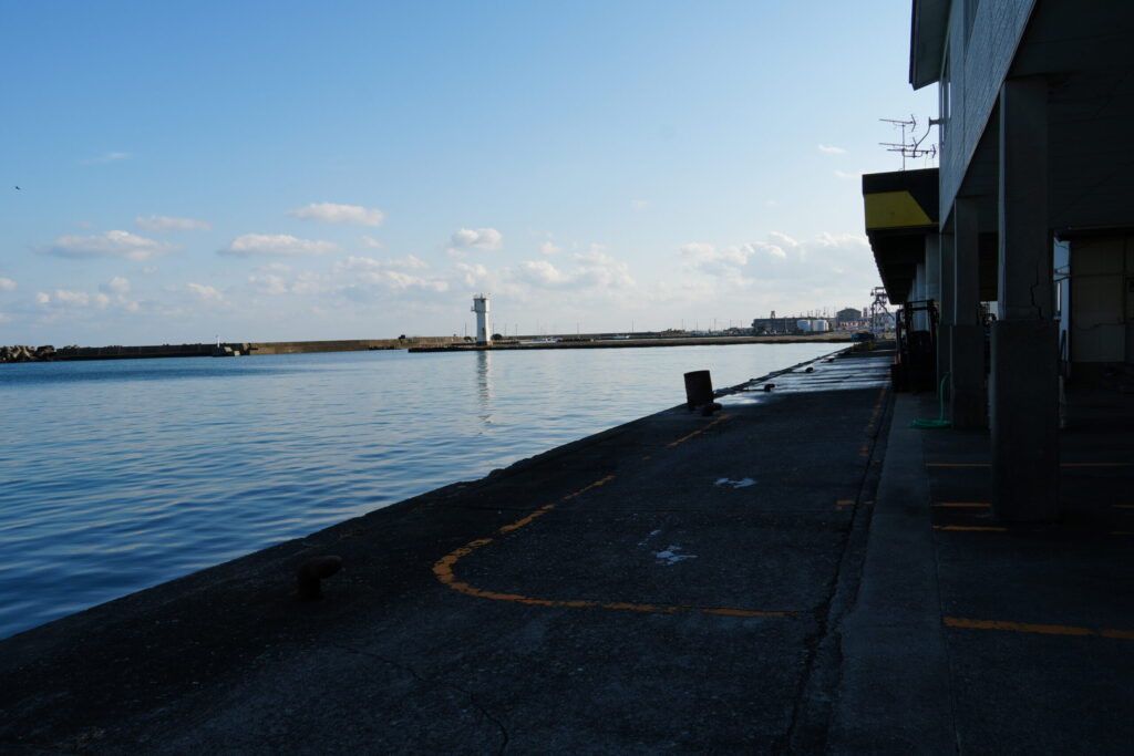 千倉漁港外観（海側）の写真。朝にはこの場所に船が何艘も接岸するのだろう