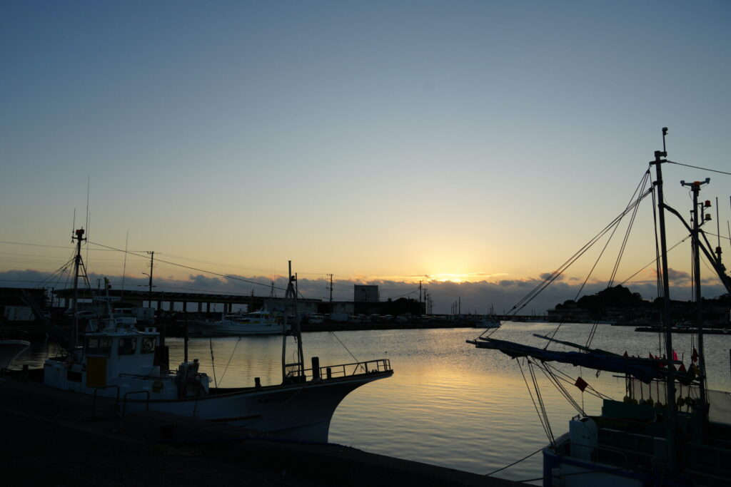 朝陽が差し込む大原漁港。夜明け前の静かな熱気から、一時の静けさが訪れている