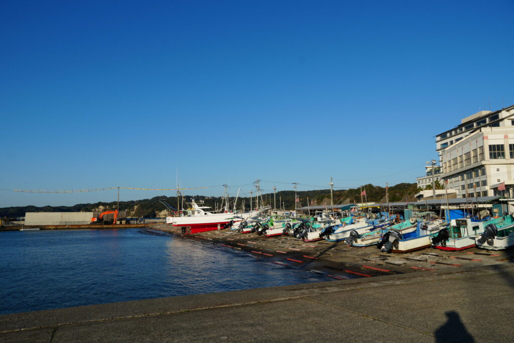 勝浦漁港で多くの漁船が陸揚げされている写真。